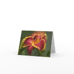 Daylily Note Card