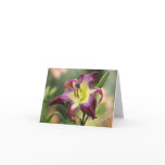 Daylily Note Card