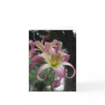 Daylily Note Card