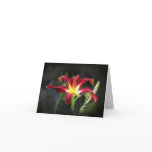 Daylily Note Card