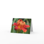 Daylily Note Card