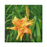 daylily: orange -Magnet