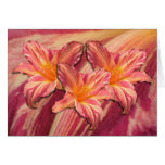 Daylily 'Pink Stripes' Greeting Card