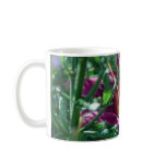 Daylily 'Russian Rhapsody' mugs