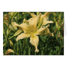 Daylily 'Starsearch' Greeting Card