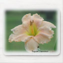 Daylily 'Tropical Experience' mousepads