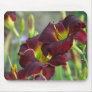Daylily 'Vintage Bordeaux' Mouse Pad