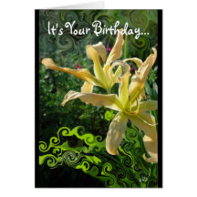 Daylily Whimsy Birthday Cards