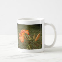 dayllies mug
