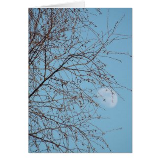 Daytime Gibbous Moon Greeting Card