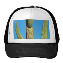 Daytime Moon Mesh Hat