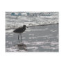 Daytona Beach Postcard