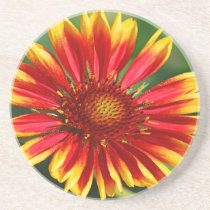 Dazzle Delight coasters