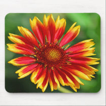 Dazzle Delight mousepads