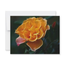 Dazzling orange rose and meaning invitations