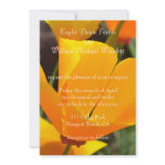 Dazzling Poppy invitations