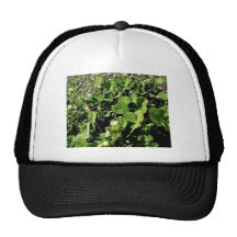 Dazzling small white flowers mesh hat