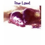 DB- True Love! Hippo shirt