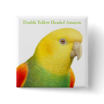Dbl Yellow Headed Amazon Parrot Pin buttons