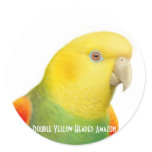 Dbl Yellow Headed Amazon Sticker