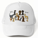 DC- Willow Springs Walking Buddies Hat