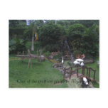 dcc 022 (Small), One of the prettiest places in... postcards