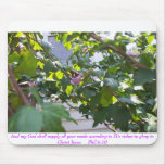 dcp_1103, And my God shall supply all your need... mousepads