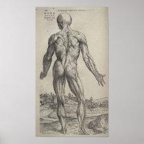 De Humani Corporis Posters