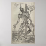 De Humani Corporis posters