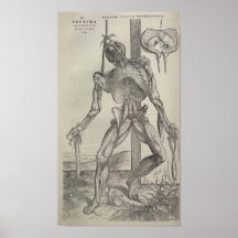 De Humani Corporis Poster