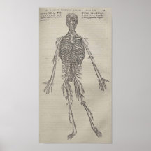 De Humani Corporis Posters