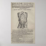 De Humani Corporis Poster