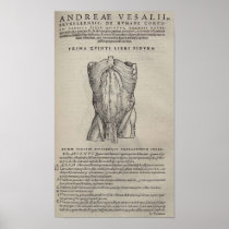 De Humani Corporis Poster