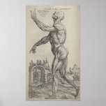 De Humani Corporis posters