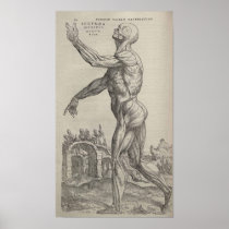 De Humani Corporis Print