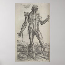 De Humani Corpris Print