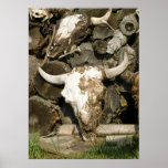 Dead Buffalo posters