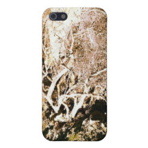 dead cactus covers for iPhone 5