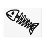 Dead Fish Skeleton Skull Bones Fossil postcards