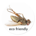 Dead fly - eco friendly stickers