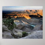 Dead Horse Point  Posters