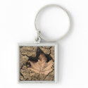 Dead Leaf keychains