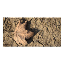 Dead Leaf on Dry Dirty Soil - Autumn Photography Photo Card Template