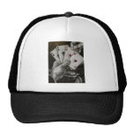 Dead Man's Hand Mesh Hat