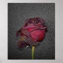 Dead Roses posters