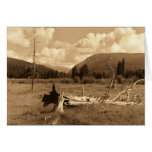 Dead Tree cards