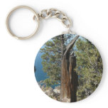 Dead Tree Keychain
