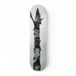 Dead Tree skateboards