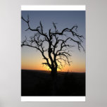 Dead_Tree_Sunset_Erock Posters