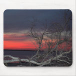 Dead Tree Sunset Mouse Mats